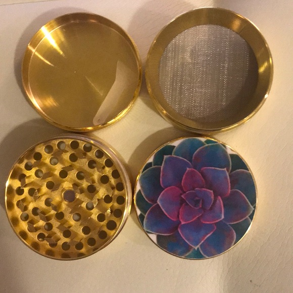 Cutie Cactus Grinder 🐛 - Picture 2 of 7